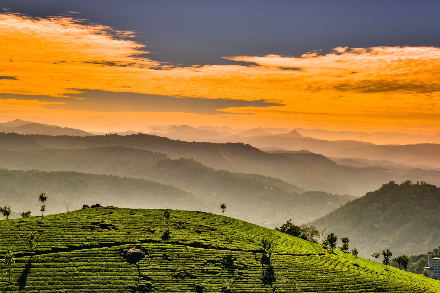 Sri Lanka : l&rsquo;île aux mille saveurs