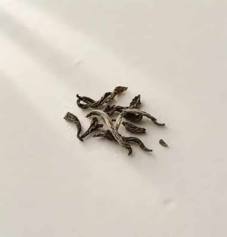 Dried, twisted whole tea leaves