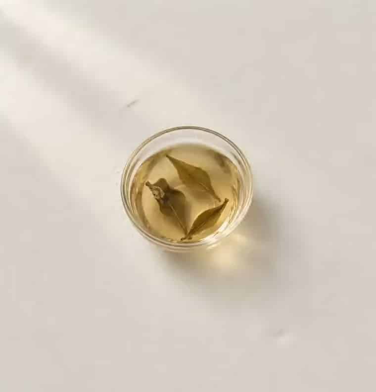 Three tea leaves unfurling in a glass cup of pale liquor